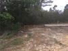 3844 E Crystal Ln photo